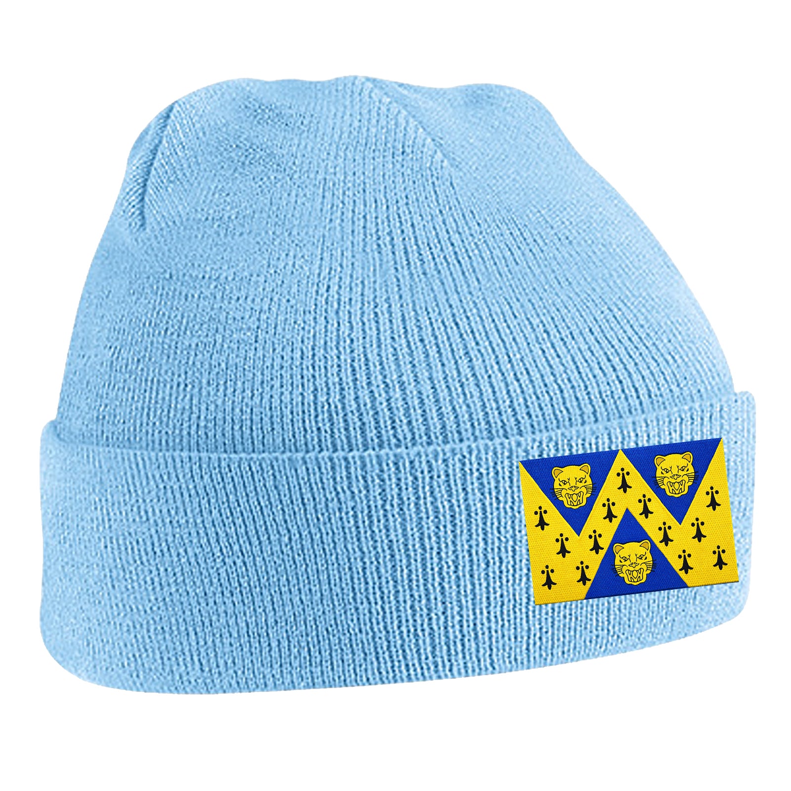 Flag of Shropshire Beanie Hat