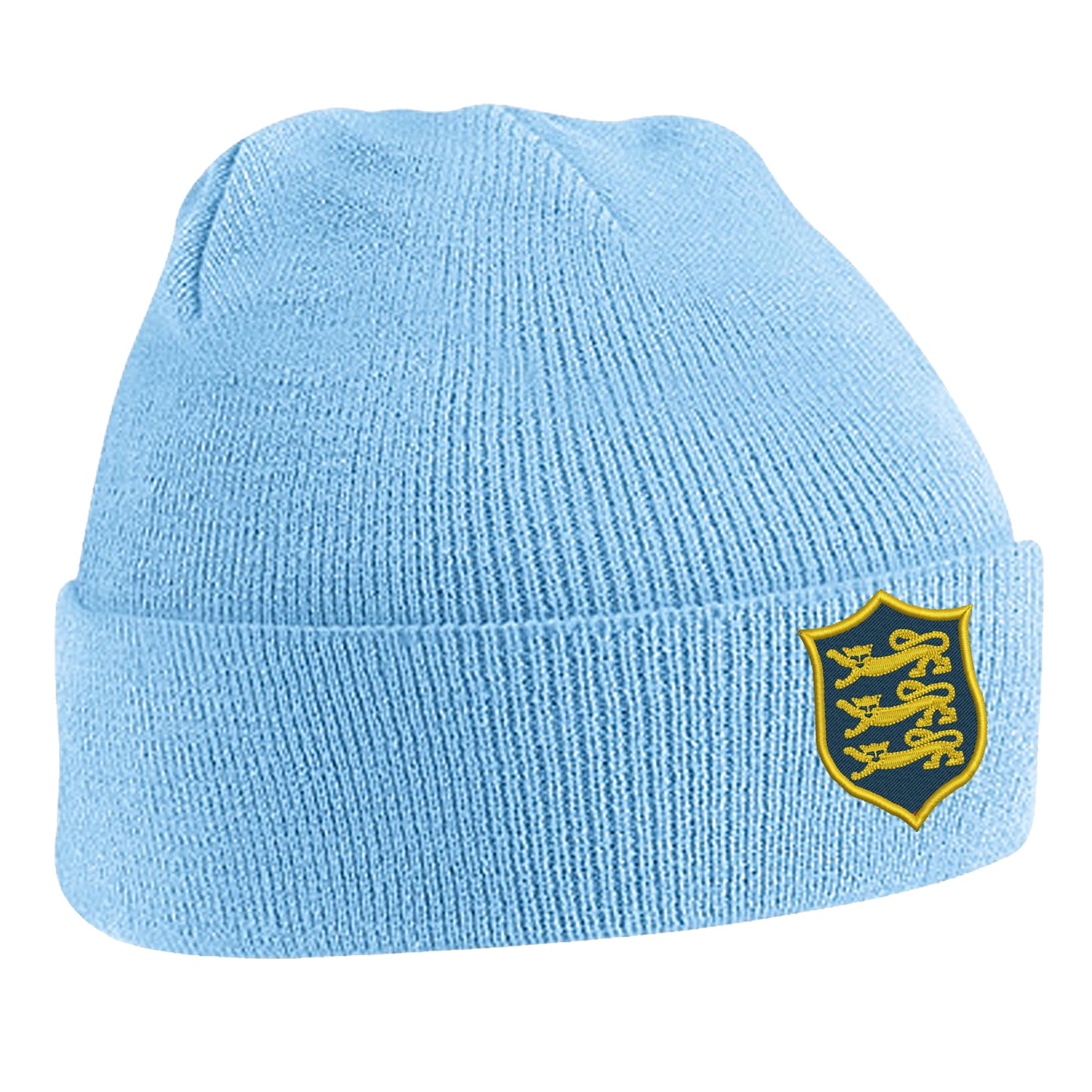 British & Irish Lions Rugby Union Beanie Hat