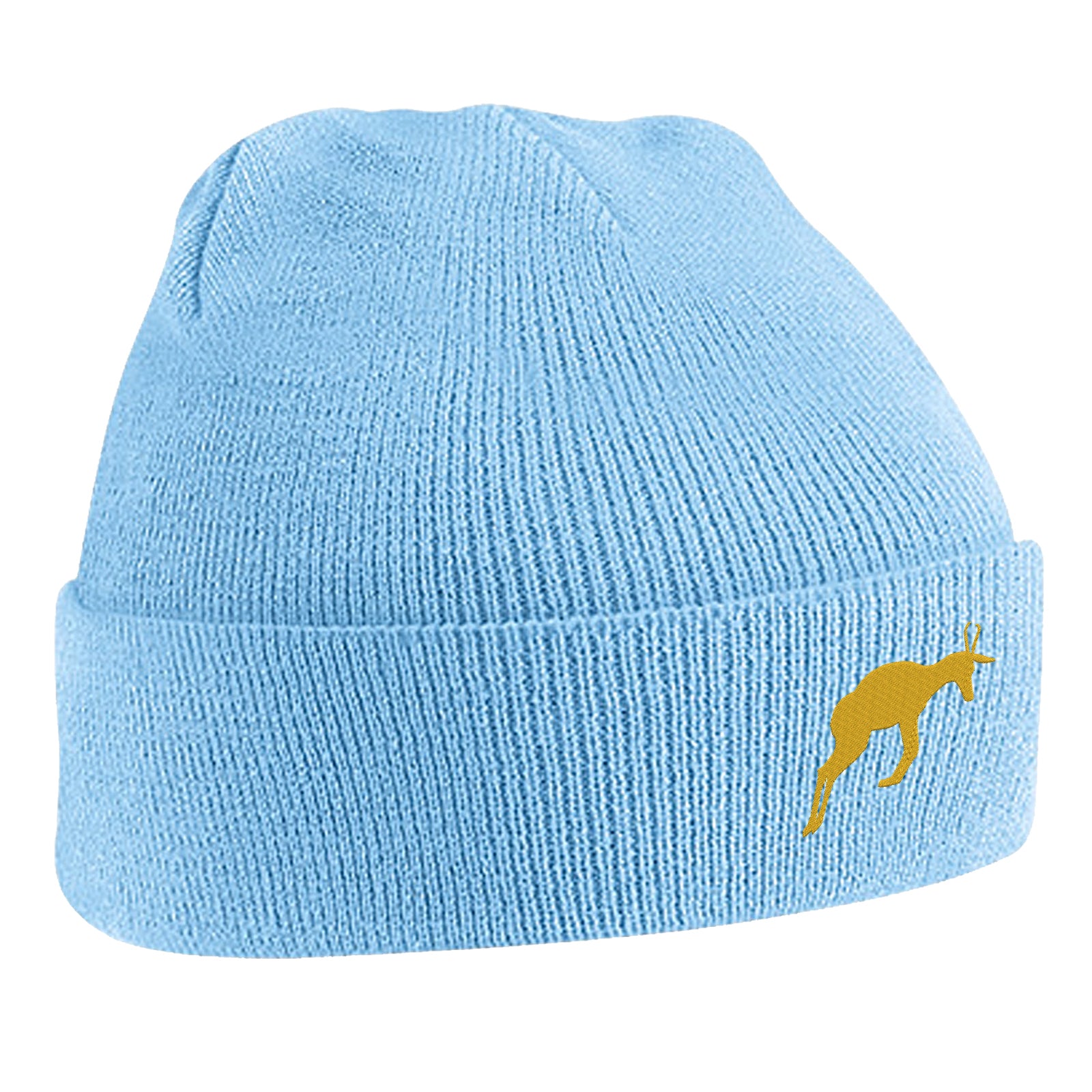 Retro South Africa Rugby 1906 Beanie Hat