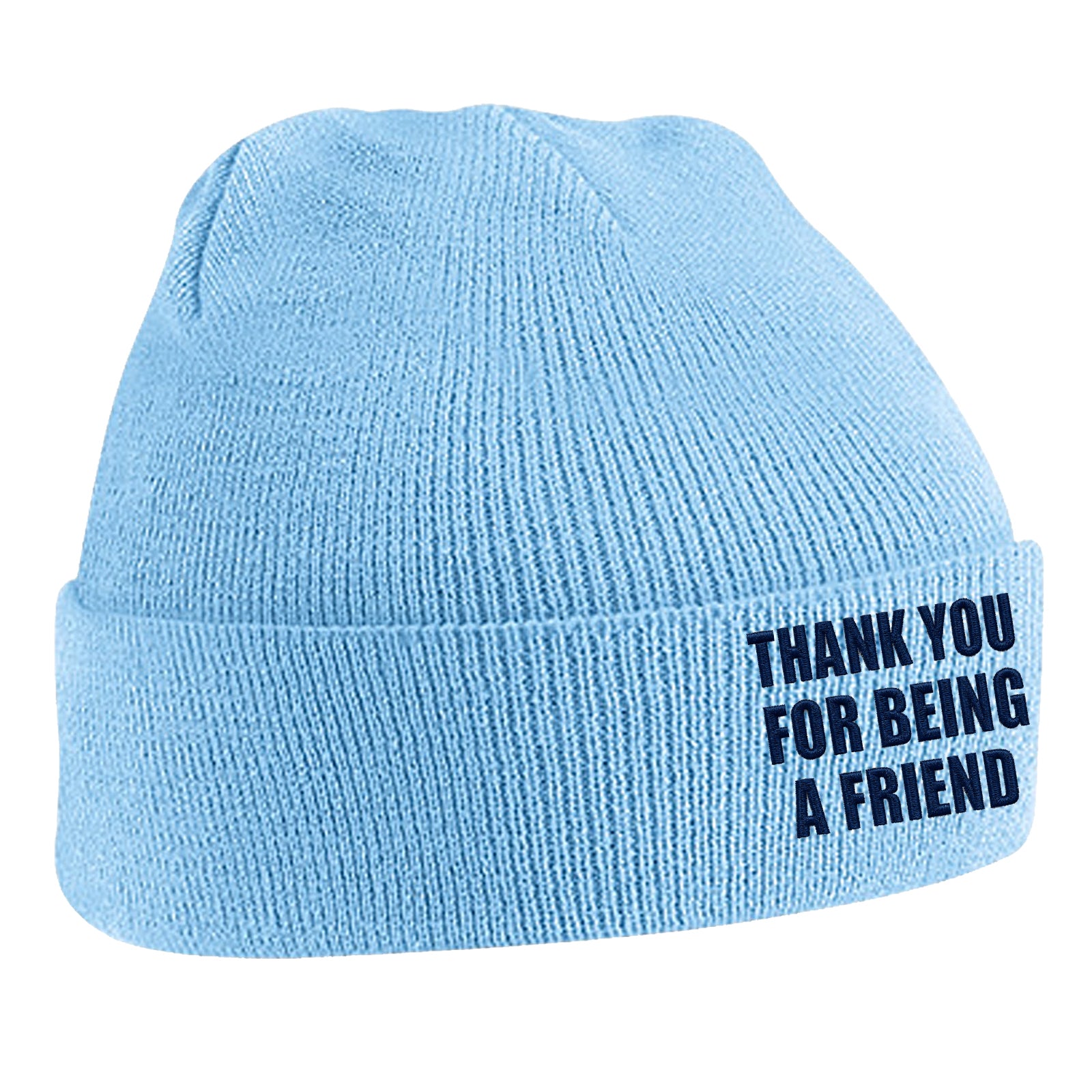 Thank You for Being a Friend Beanie Hat