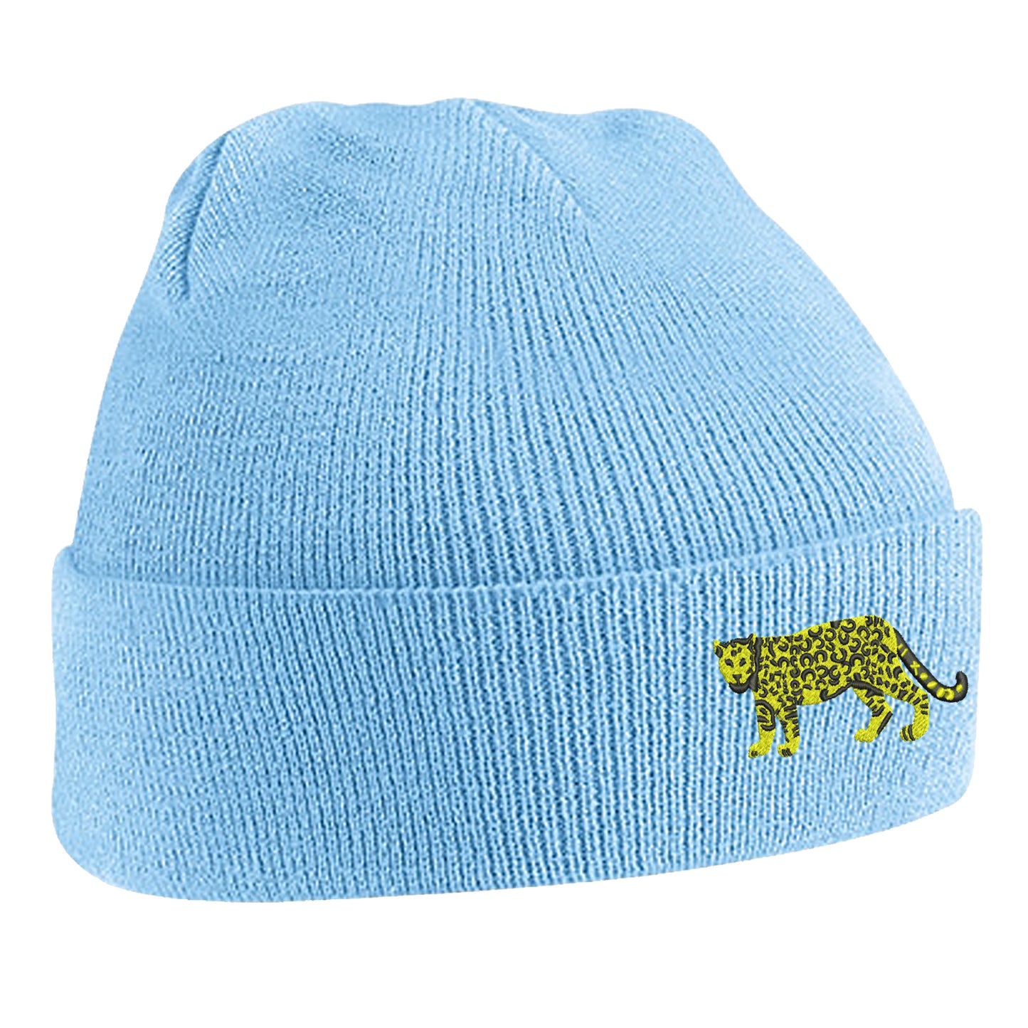 Retro Argentina 1976 Beanie Hat