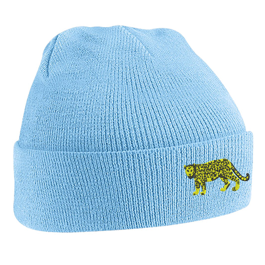 Retro Argentina 1976 Beanie Hat