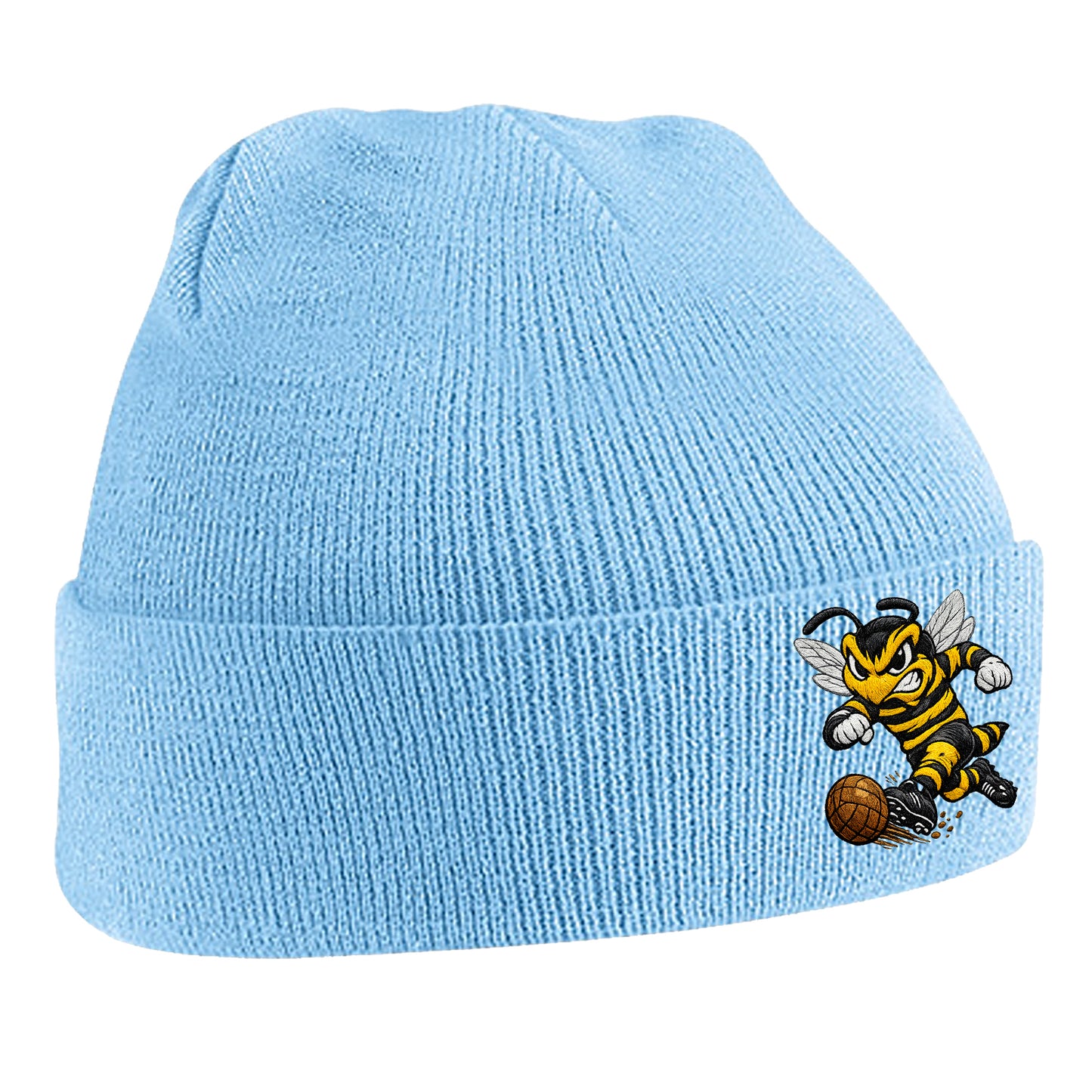 Alloa Athletic 1960s Beanie Hat