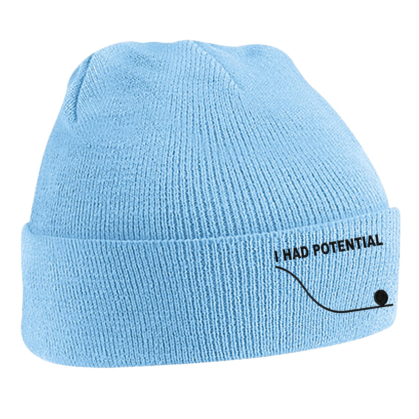 I Had Potential Beanie Hat 