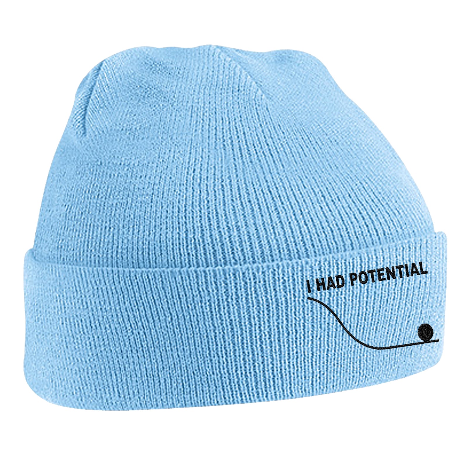 I Had Potential Beanie Hat 