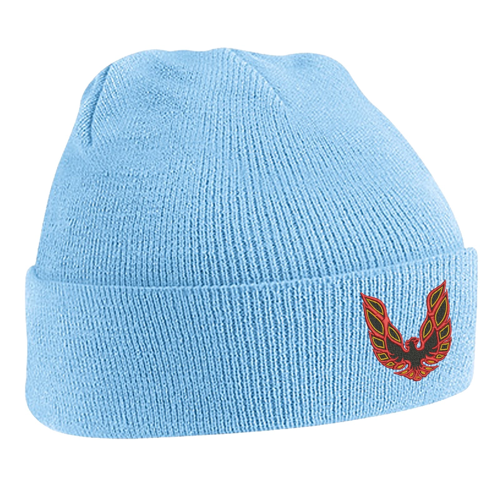 Pontiac Firebird Beanie Hat