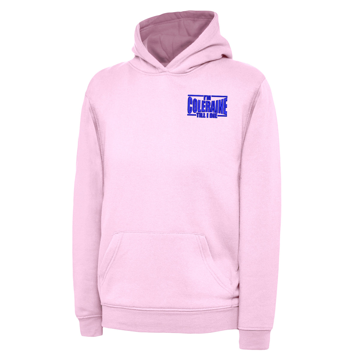 I am Coleraine Embroidered Hoodie