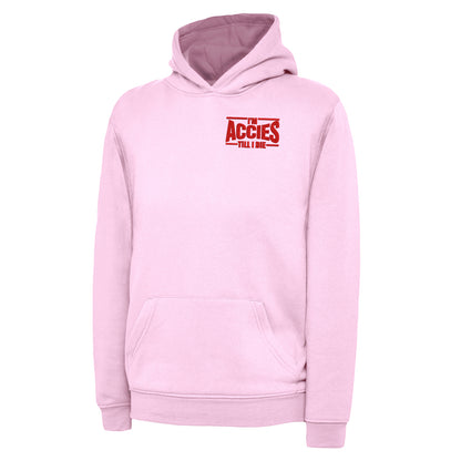 Children's Hamilton Academical Hoodie