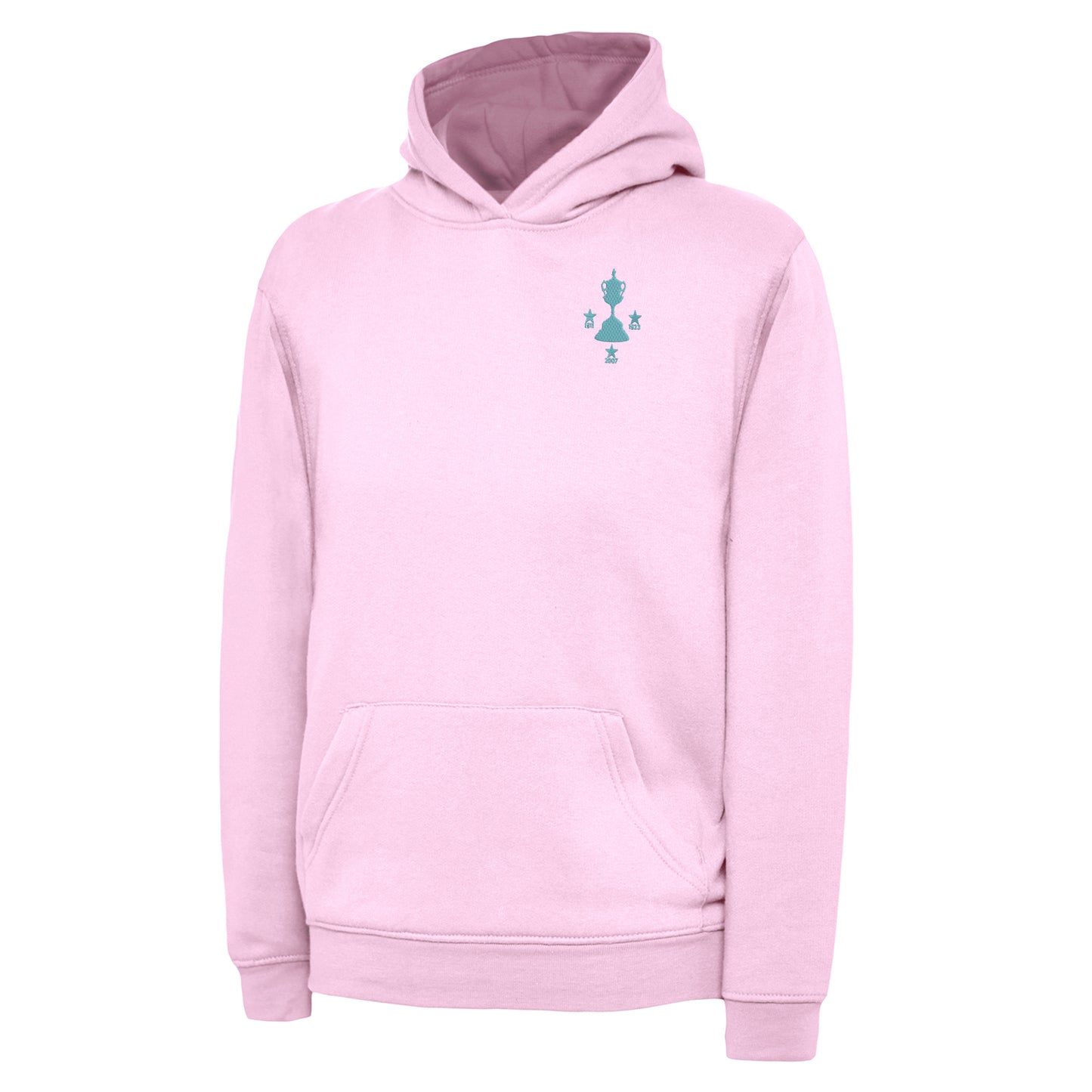 Kids Coventry City Senior Cup Winners Hoodie