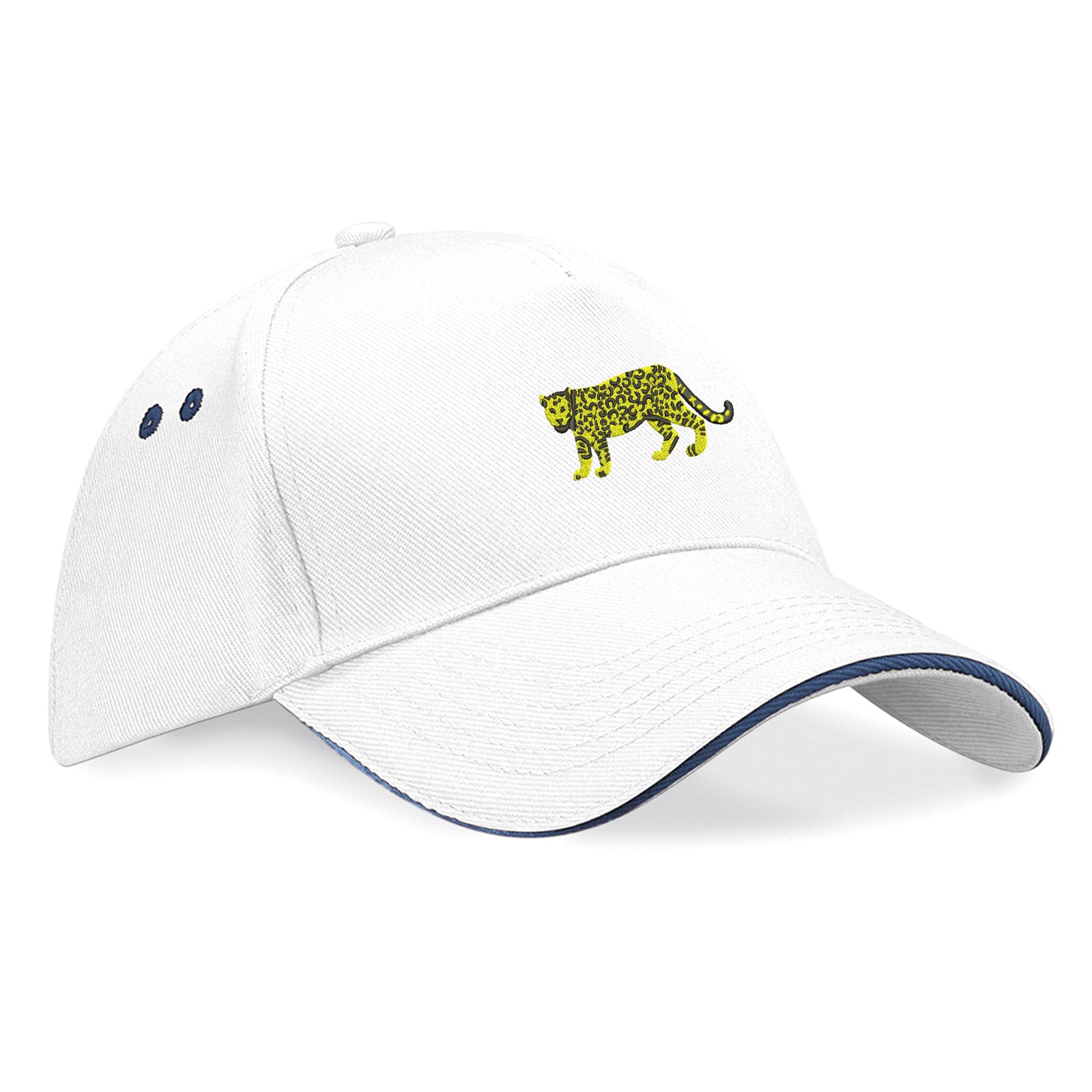 Retro Argentina 1976 Baseball Cap