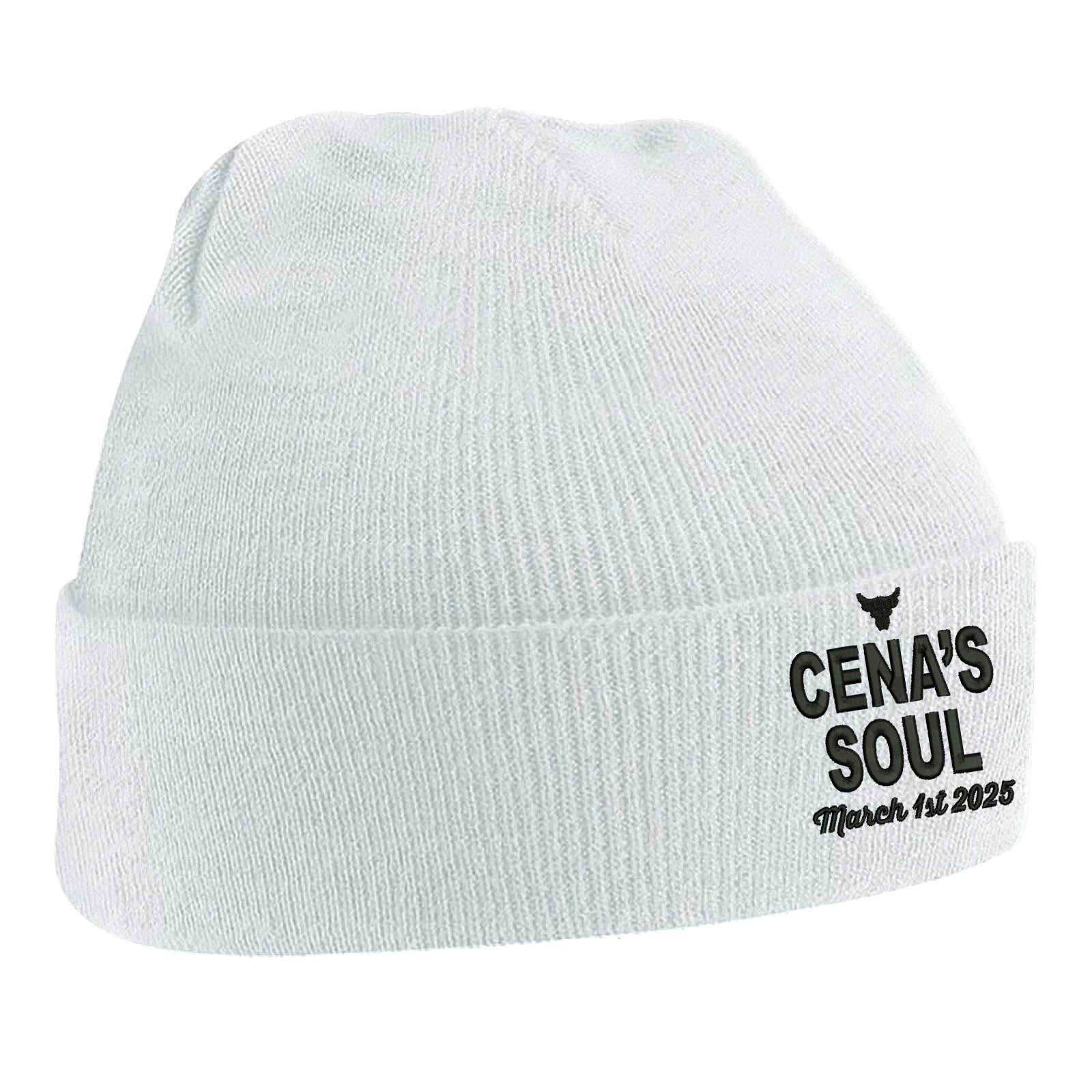 John Cena The Rock WWE Beanie Hat 