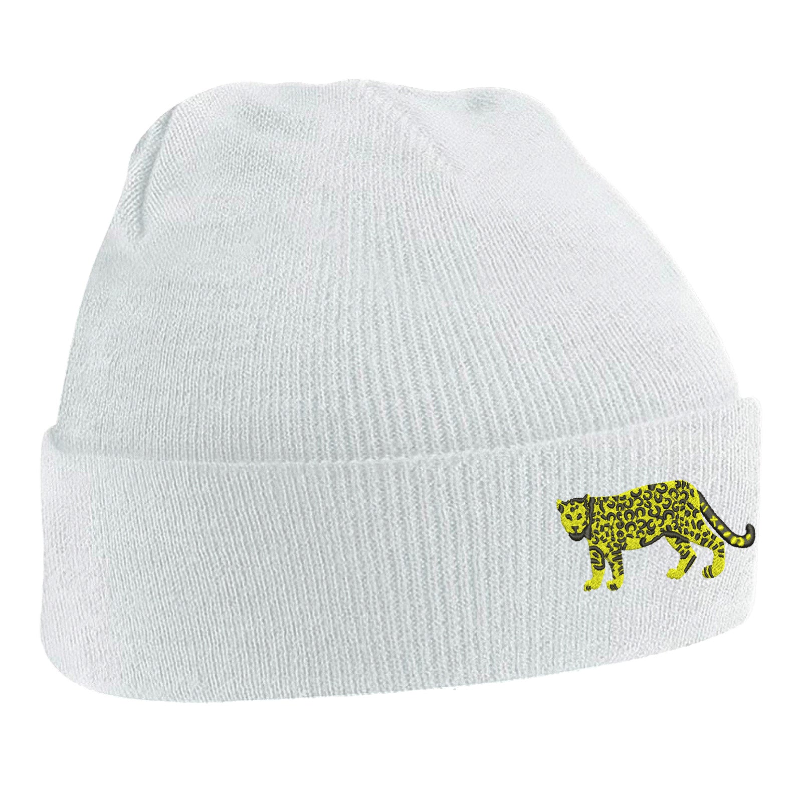 Retro Argentina 1976 Beanie Hat