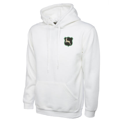 Retro South Africa Rugby Embroidered Classic Hoodie