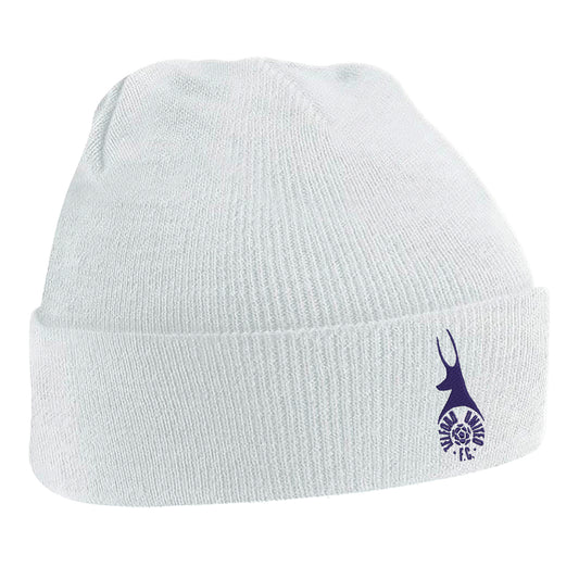Retro Telford Beanie Hat