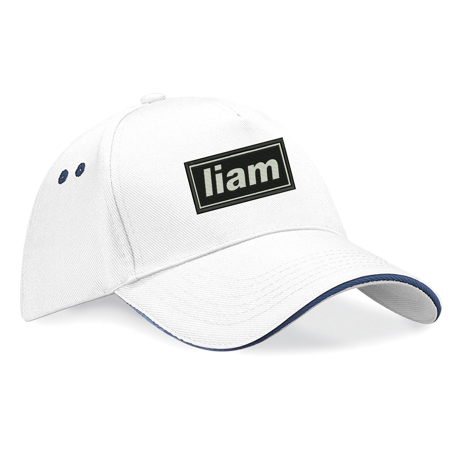 Bonehead Baseball Cap