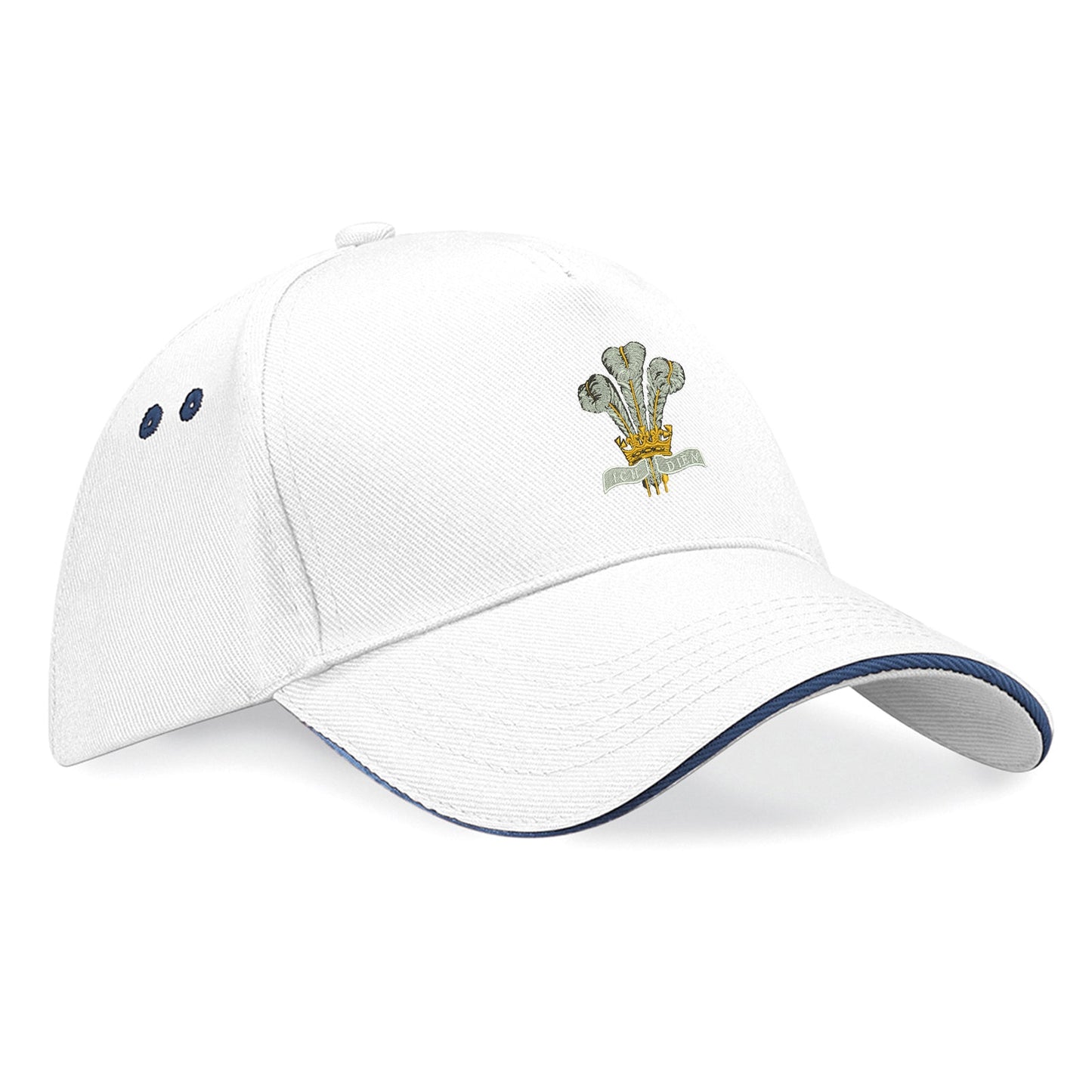 Royal Regiment of Wales Baseball Cap