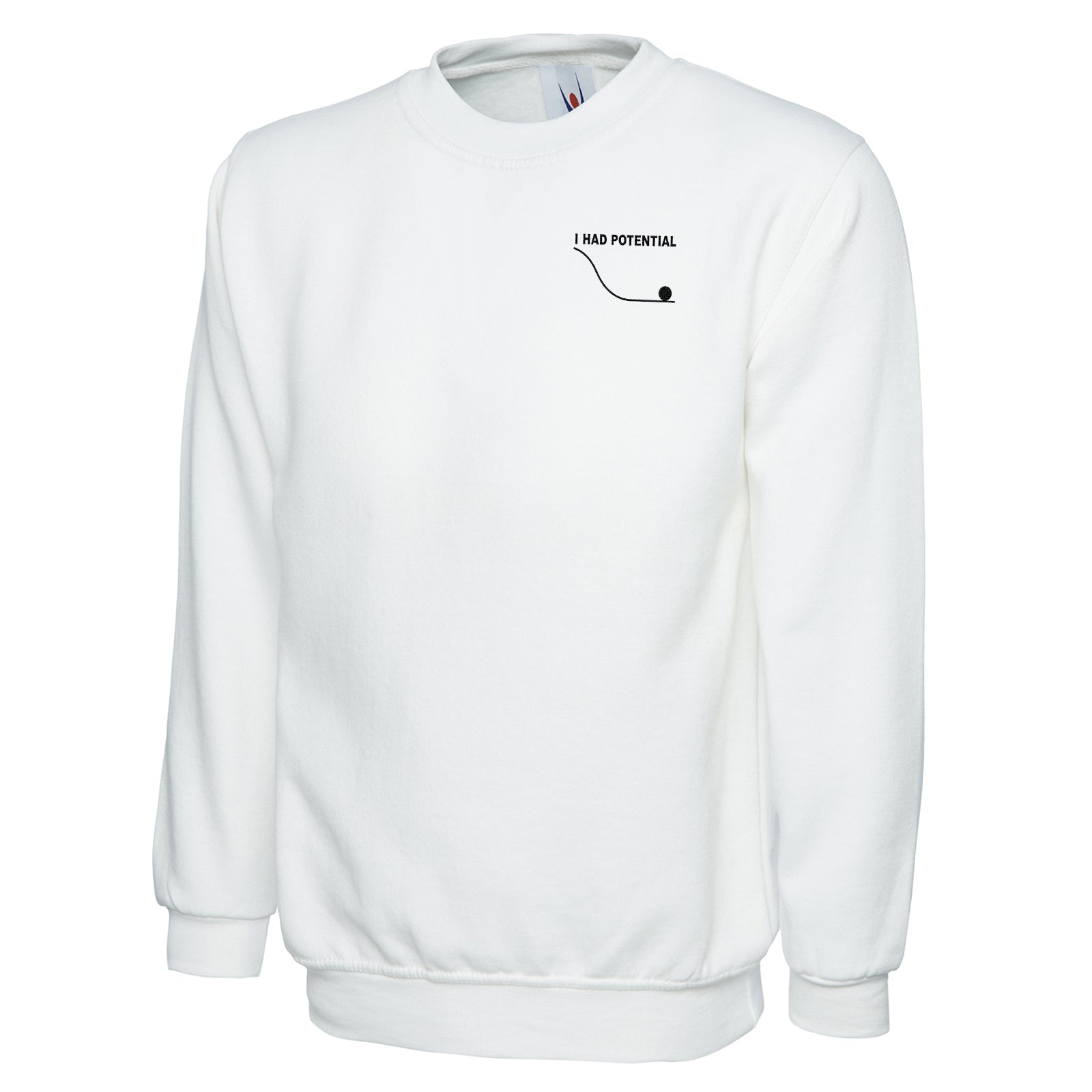 I Had Potential Sweatshirt 