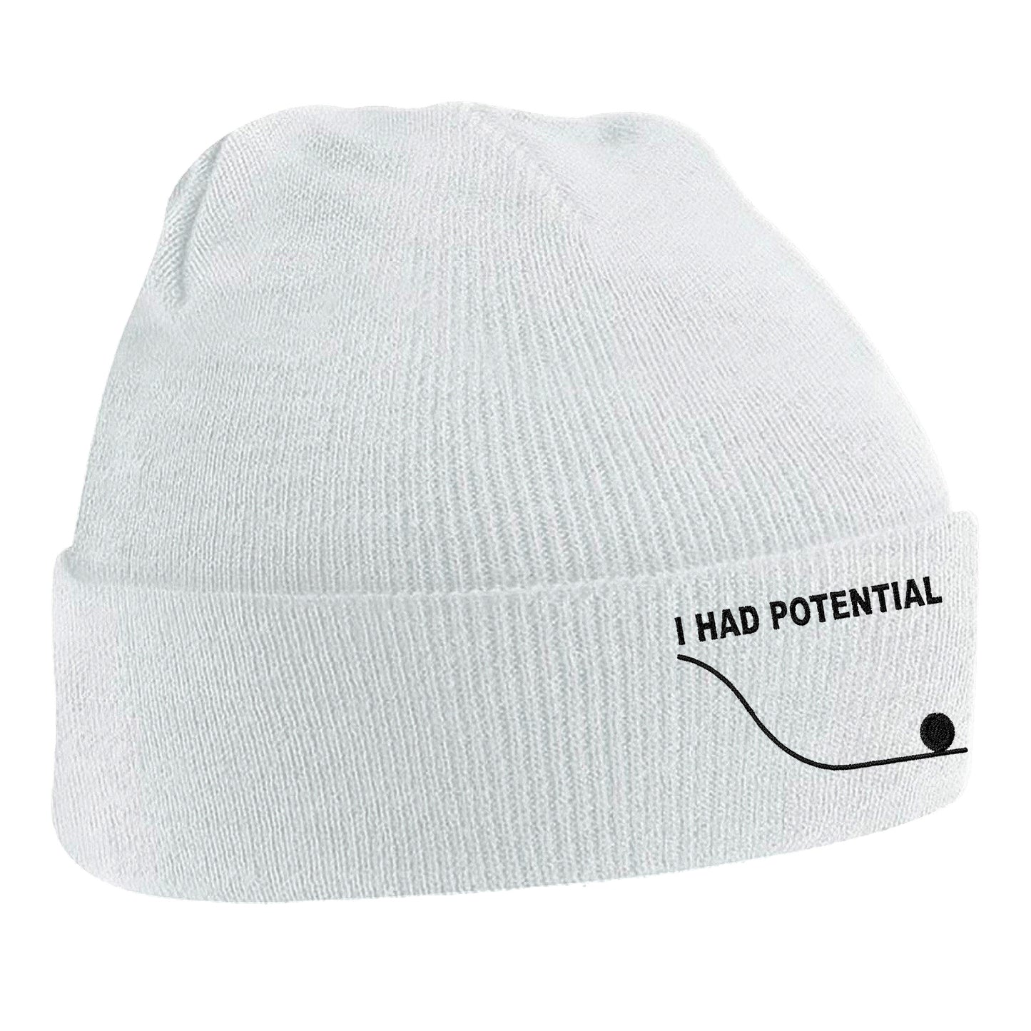 I Had Potential Beanie Hat 