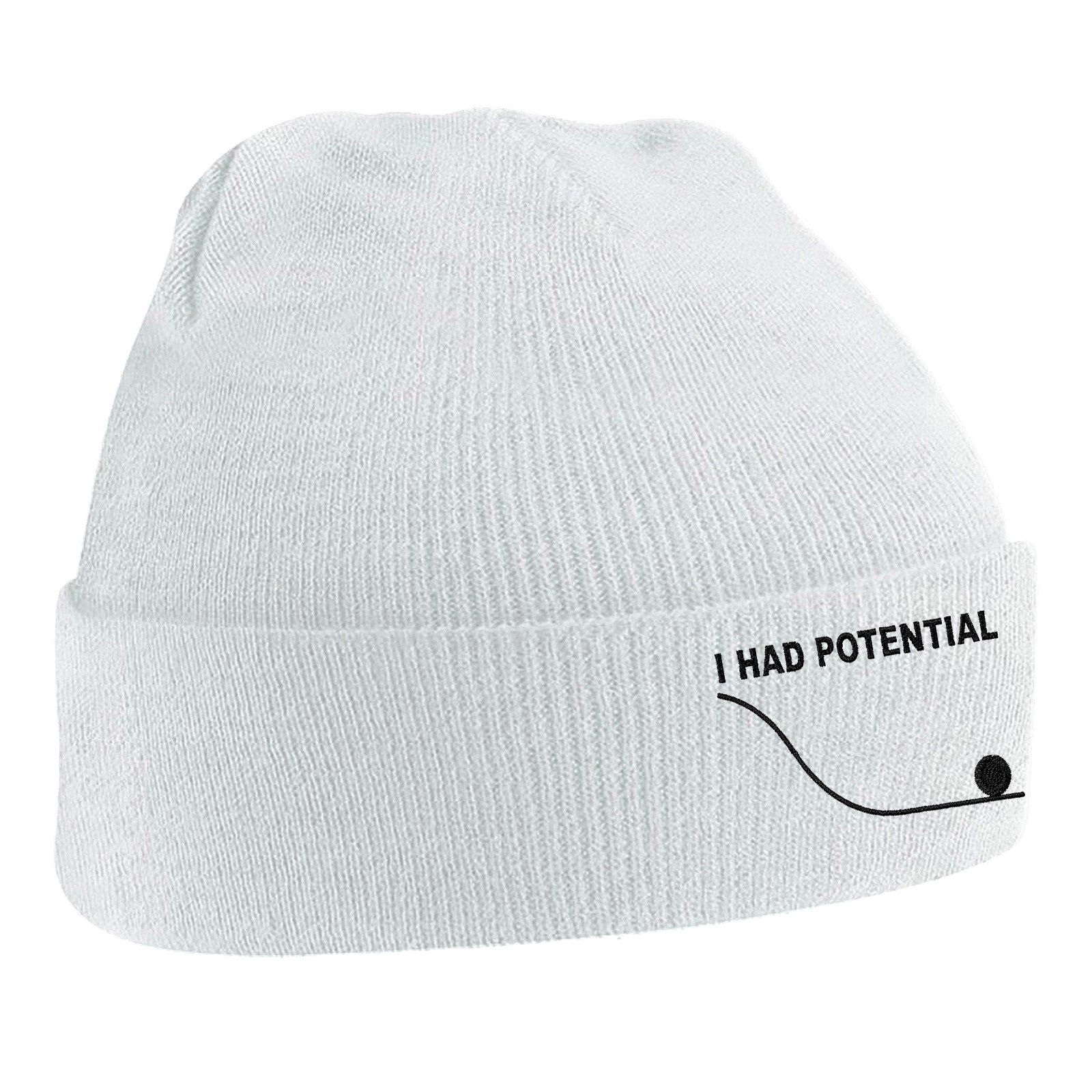 I Had Potential Beanie Hat 