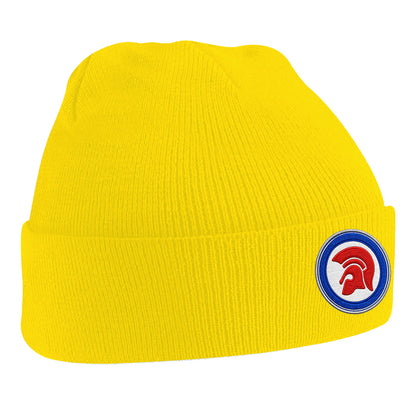 Trojan Helmet Roundel Beanie Hat