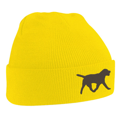 Chocolate Labrador Hat