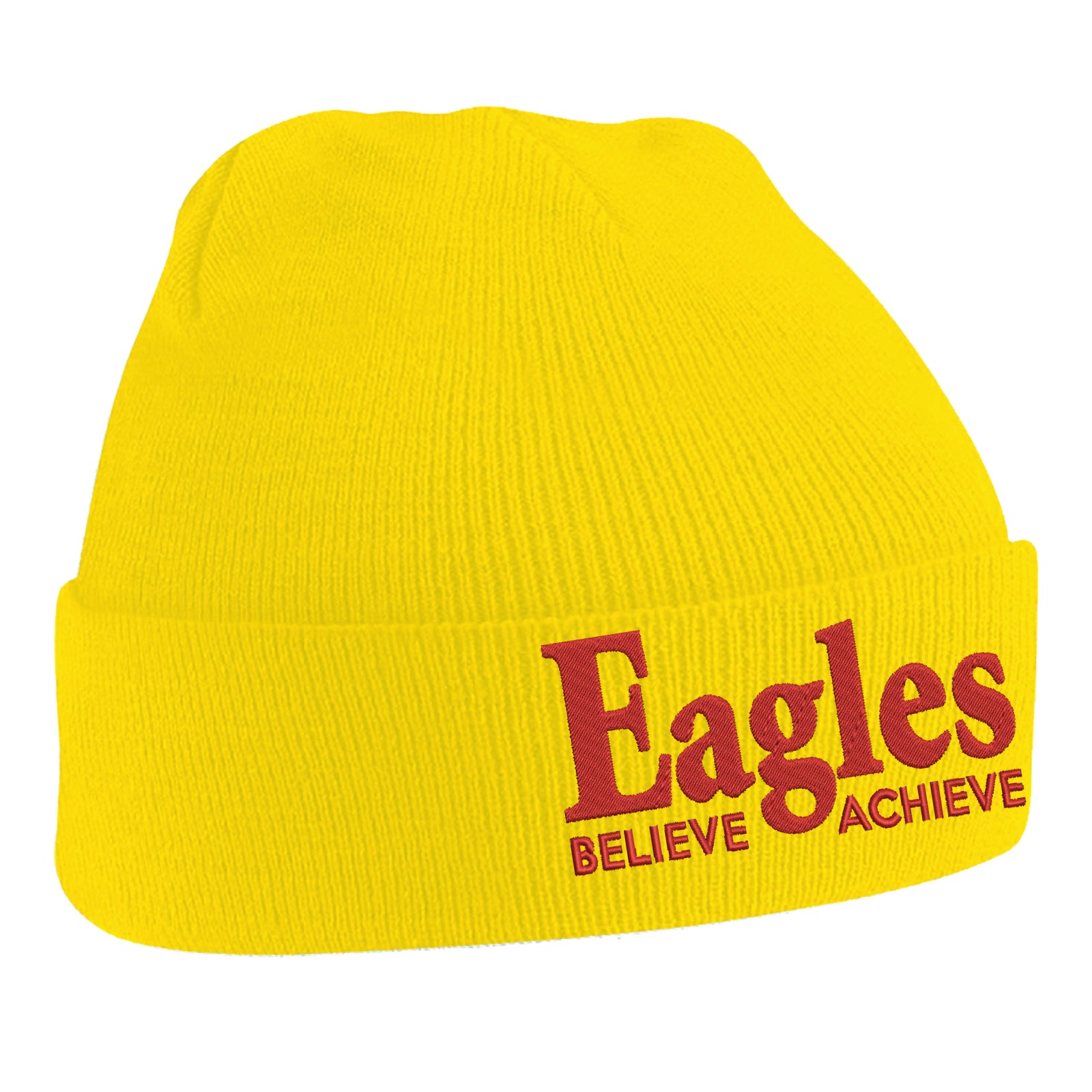 Crystal Palace Soccer Beanie Hat 