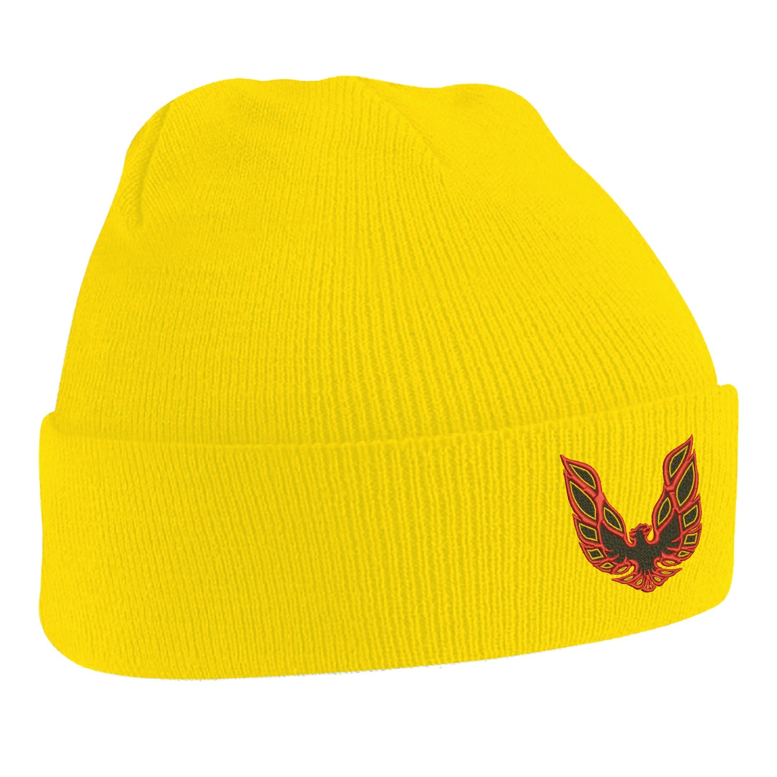 Pontiac Firebird Beanie Hat