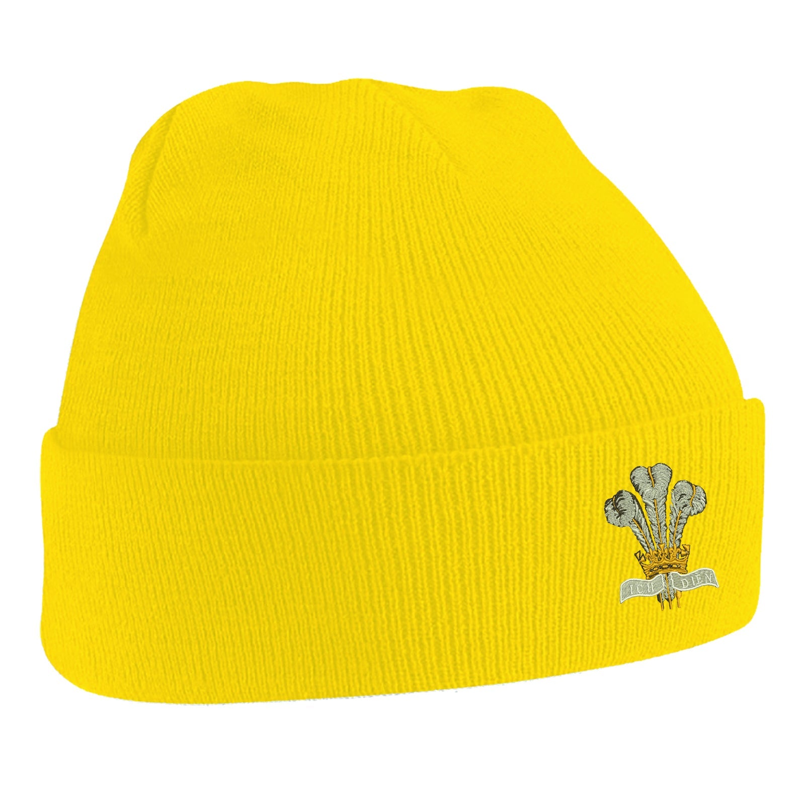 Royal Regiment of Wales Beanie Hat