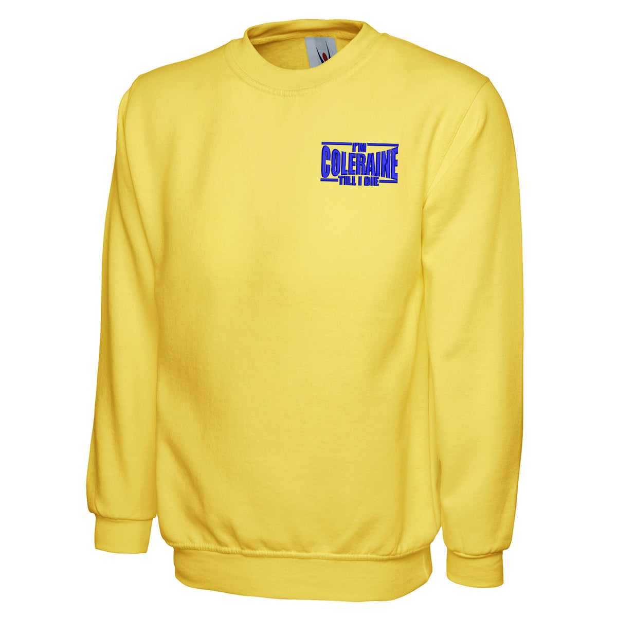 I am Coleraine Embroidered Sweatshirt
