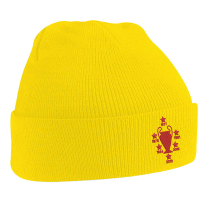 Liverpool Beanie Hat for Sale