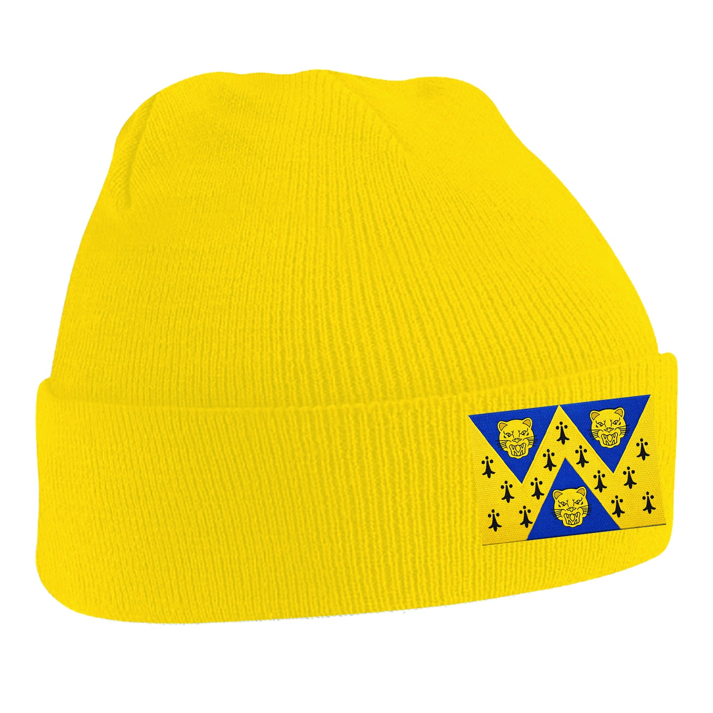 Flag of Shropshire Beanie Hat
