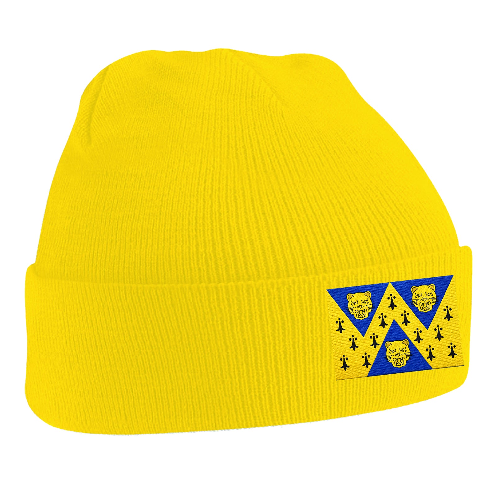 Flag of Shropshire Beanie Hat