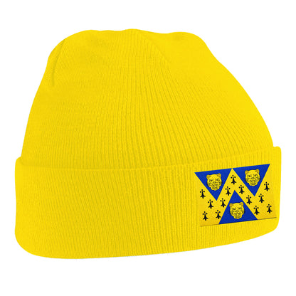 Flag of Shropshire Beanie Hat