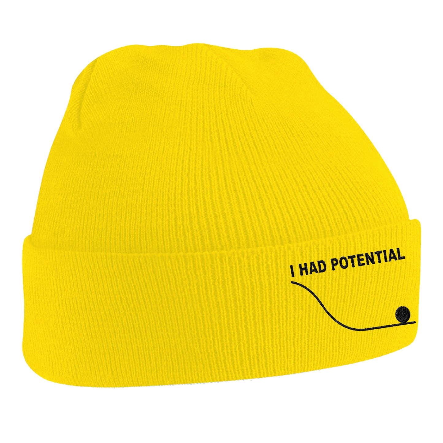 I Had Potential Beanie Hat 