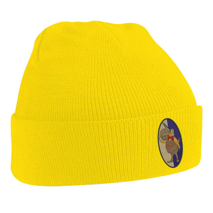 Retro West Brom 1933 Embroidered Beanie Hat