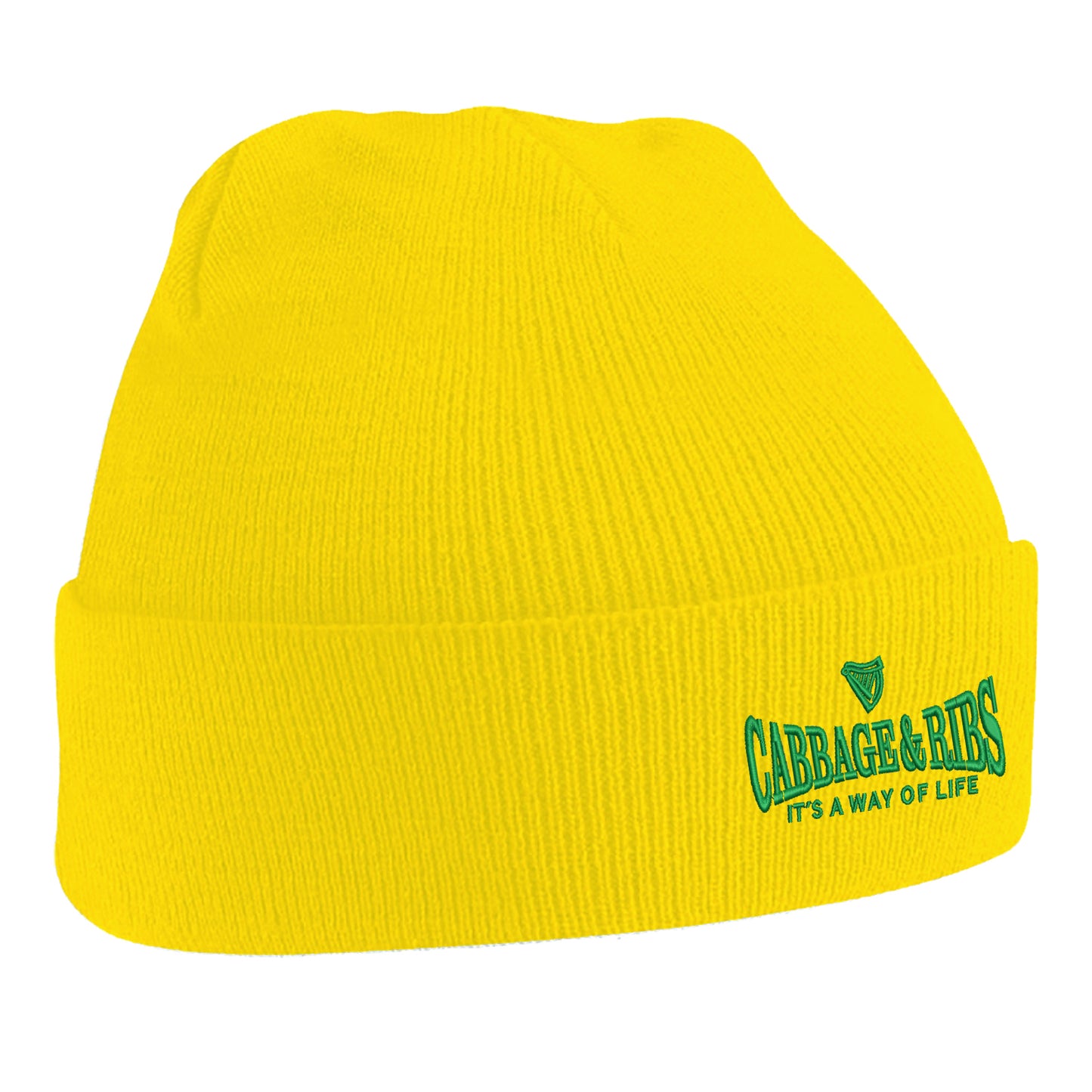 Hibs Beanie Hat