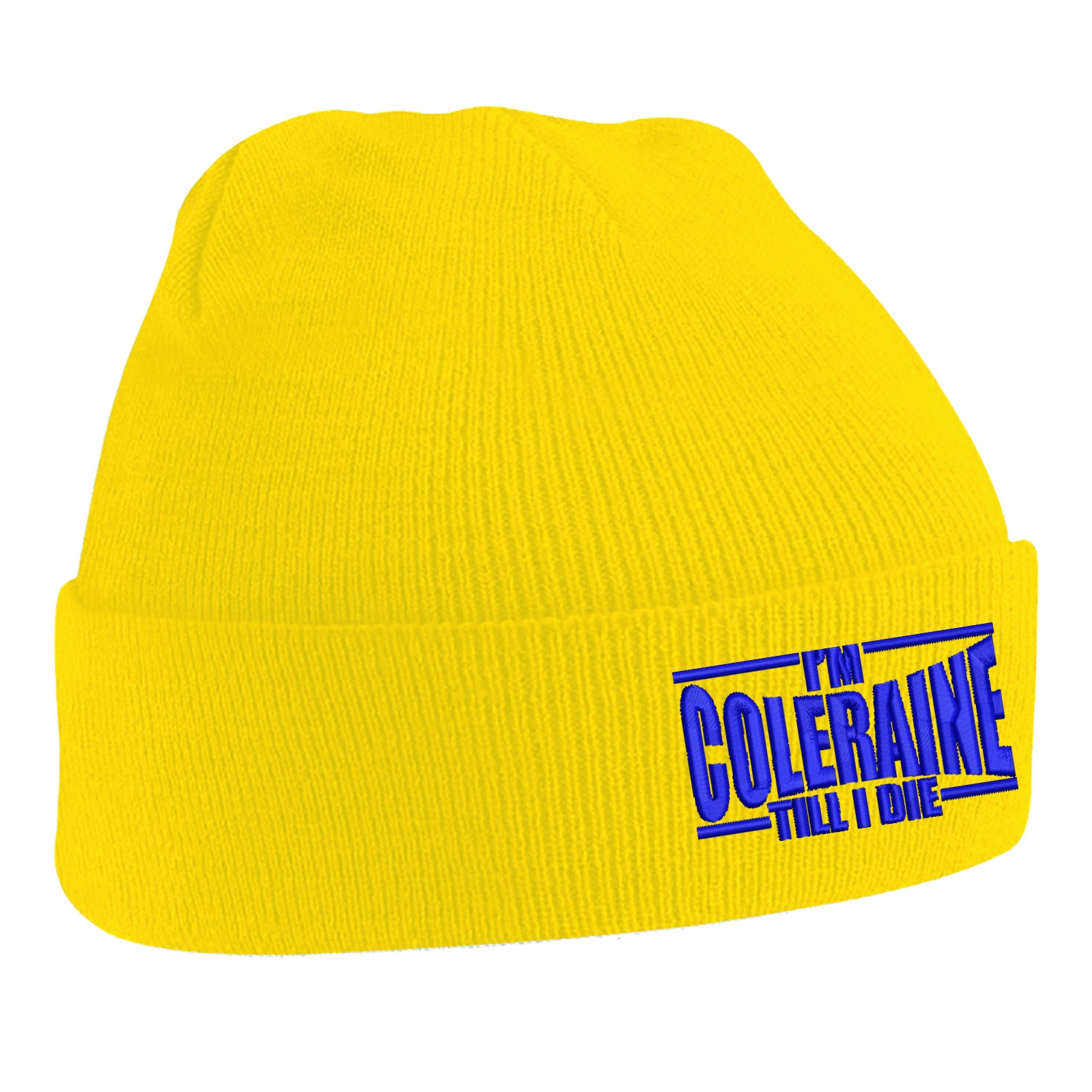 I am Coleraine Embroidered Beanie Hat
