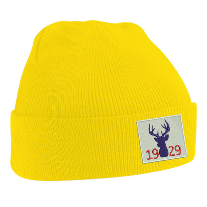 Ross County Football Beanie Hat