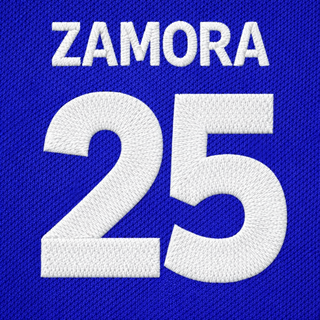 Bobby Zamora Brighton Football Shirt