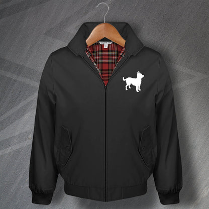 Chihuahua Jacket for Sale UK
