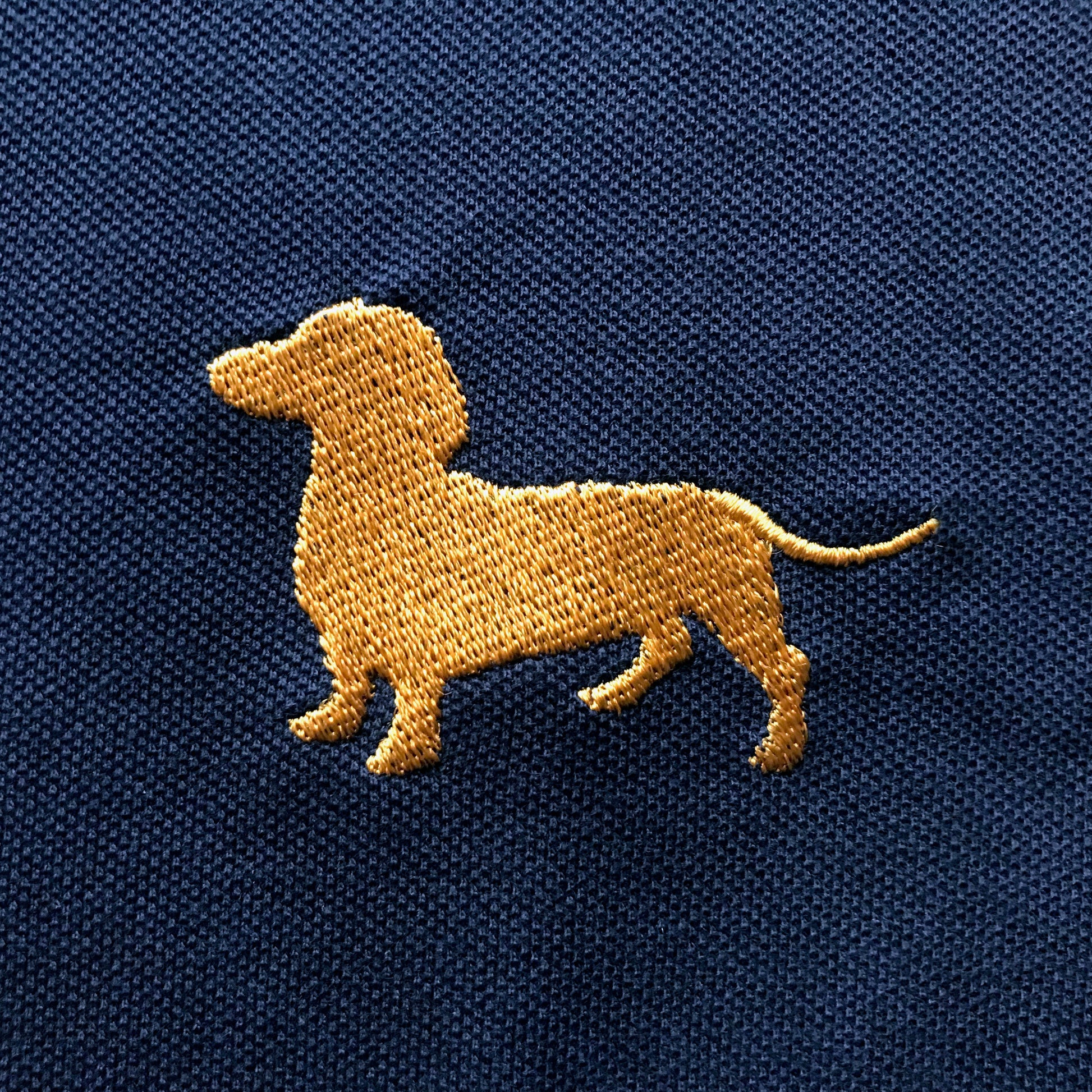 Dachshund Waterproof Coat
