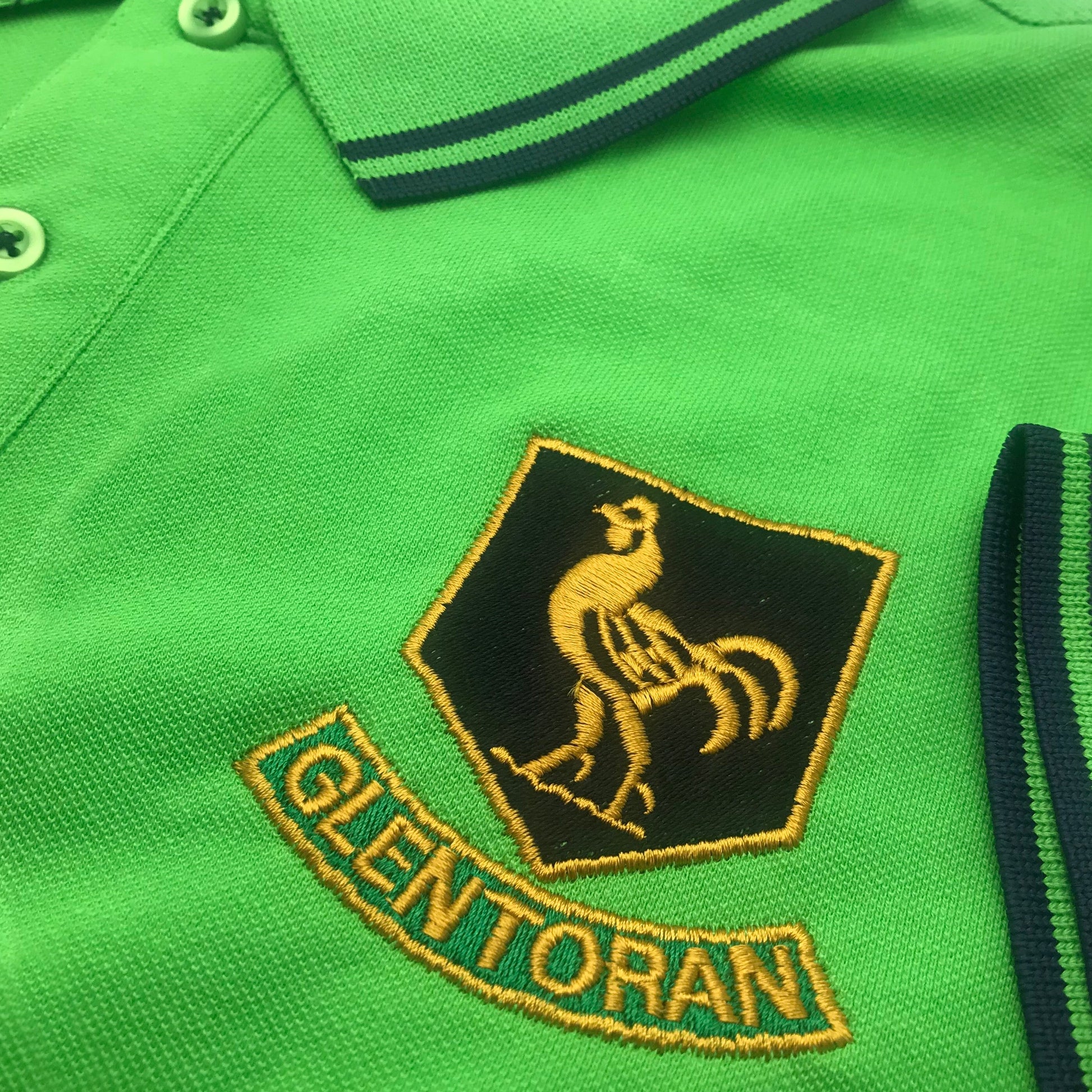 Glentoran Embroidered Polo Shirt