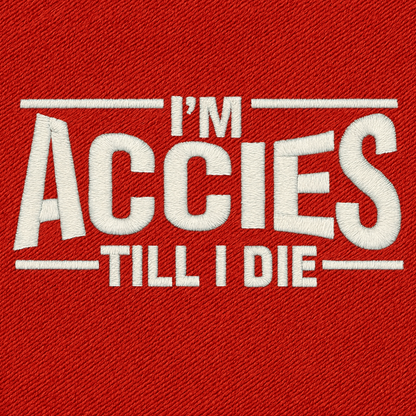 Hamilton Academical Football Shirt