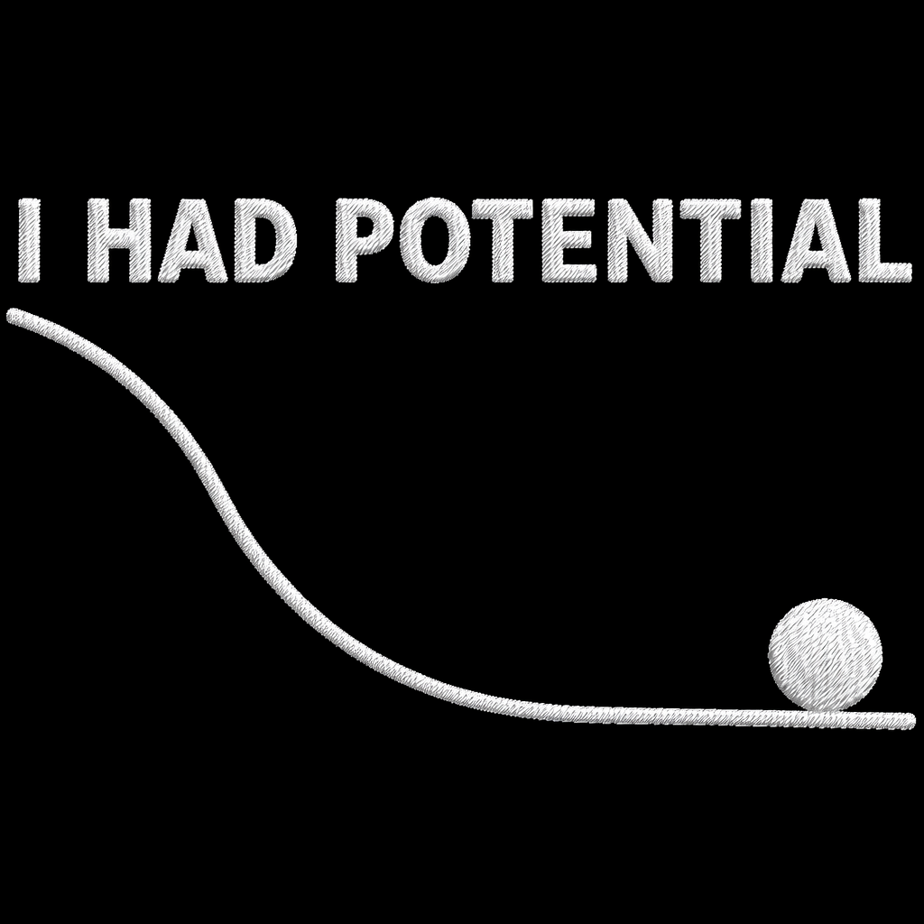 I Had Potential T Shirt