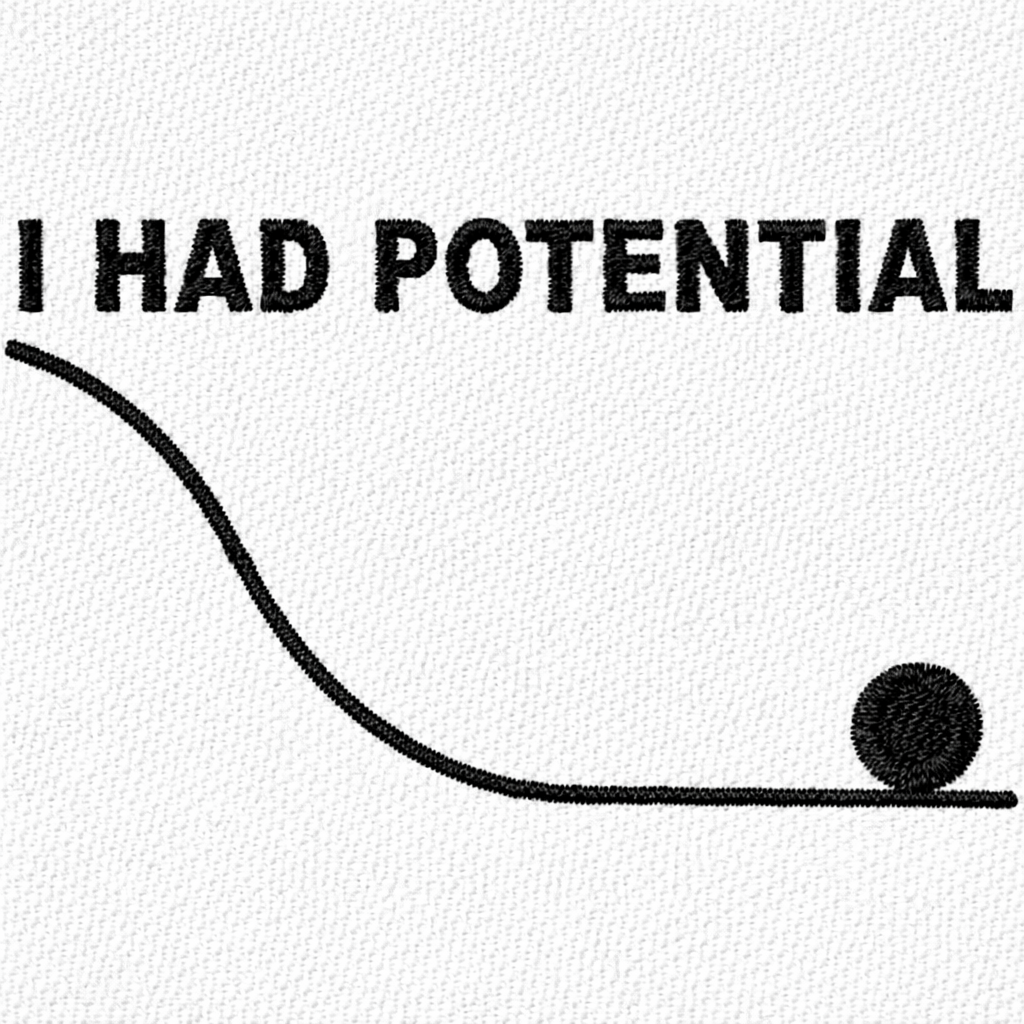 I Had Potential T Shirt