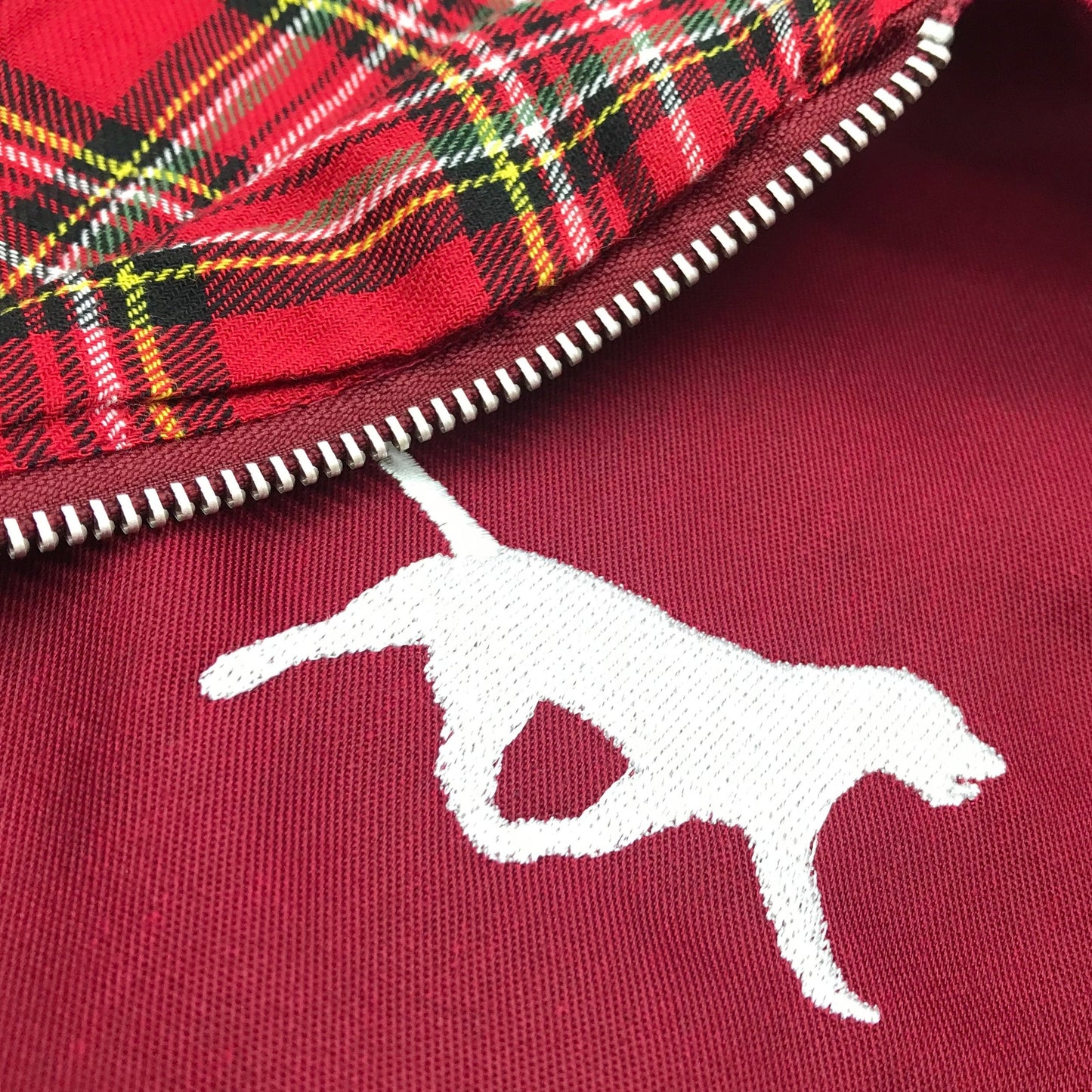 Labrador Retriever Coat for Sale