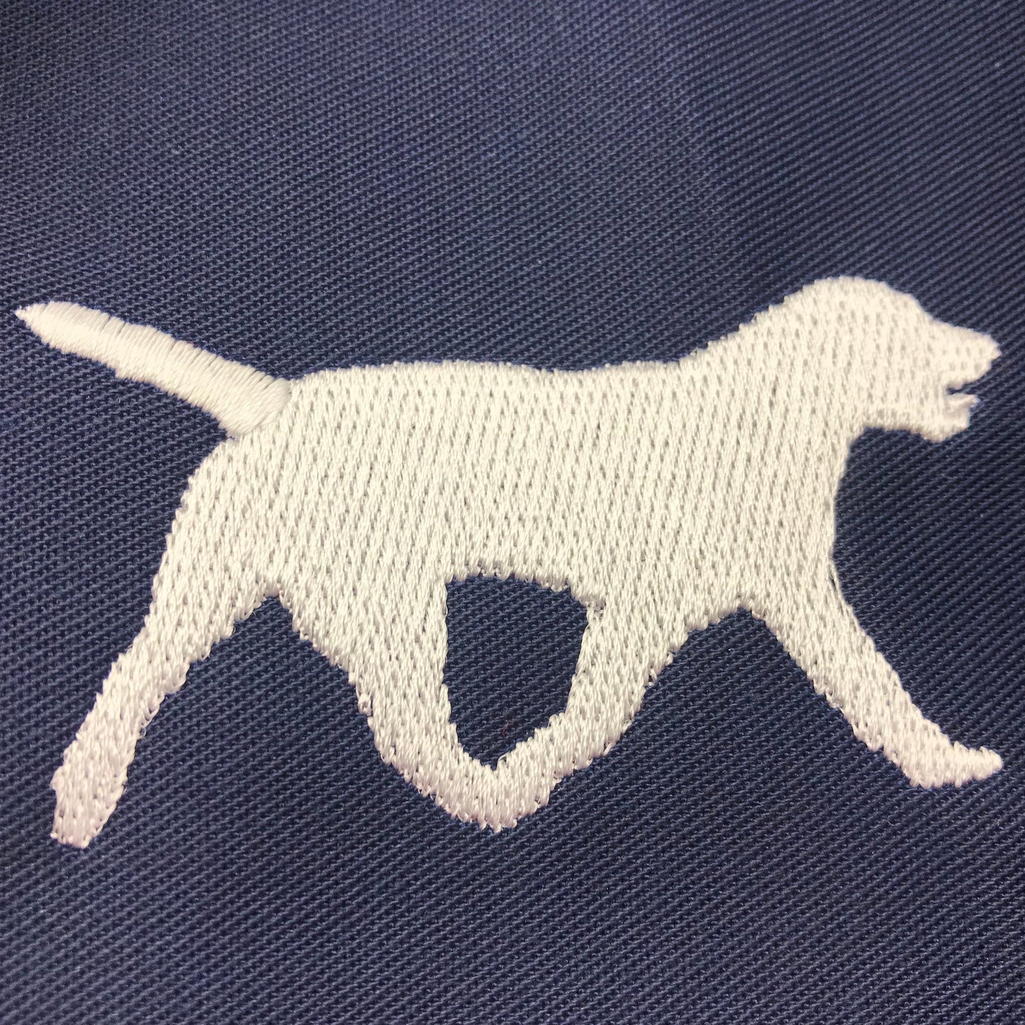Labrador Retriever Coat for Sale