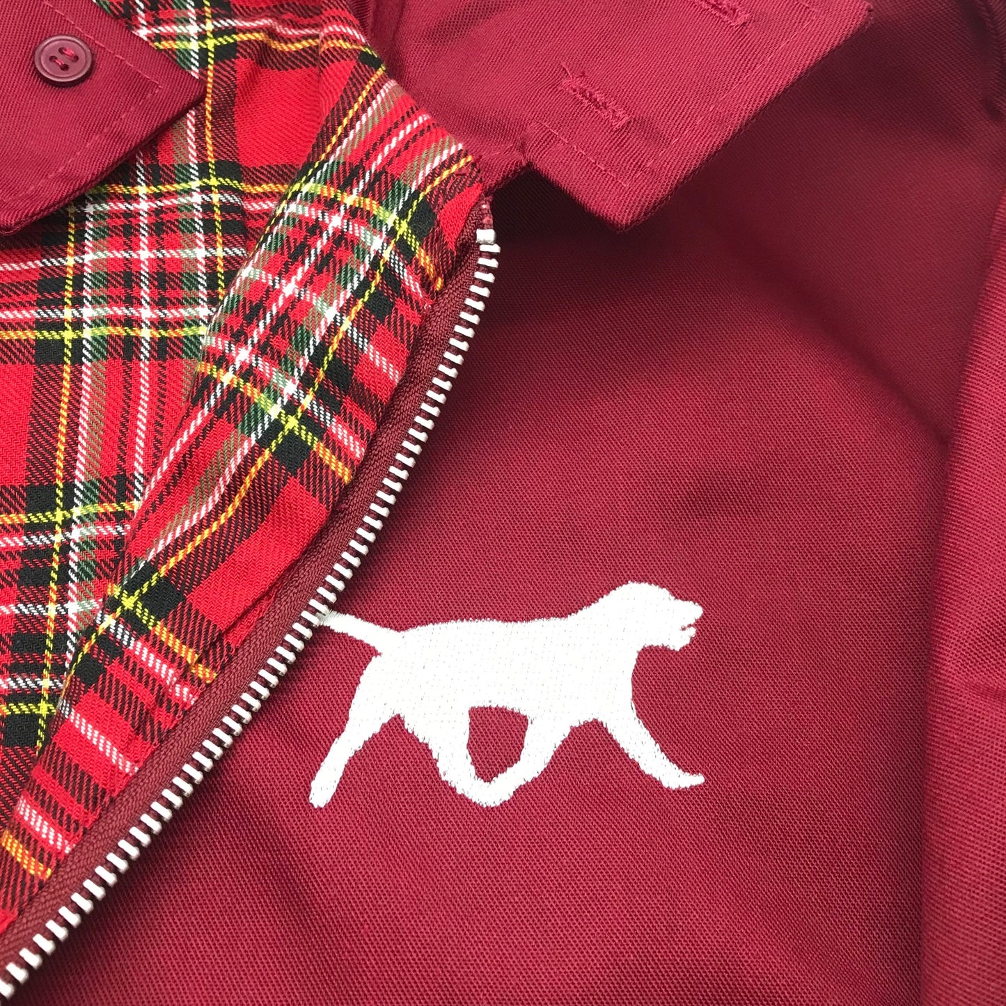 Labrador Retriever Coat for Sale