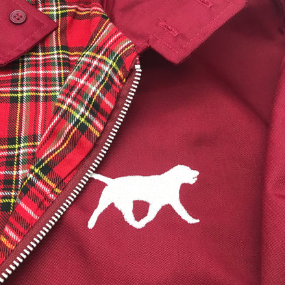 Labrador Retriever Coat for Sale