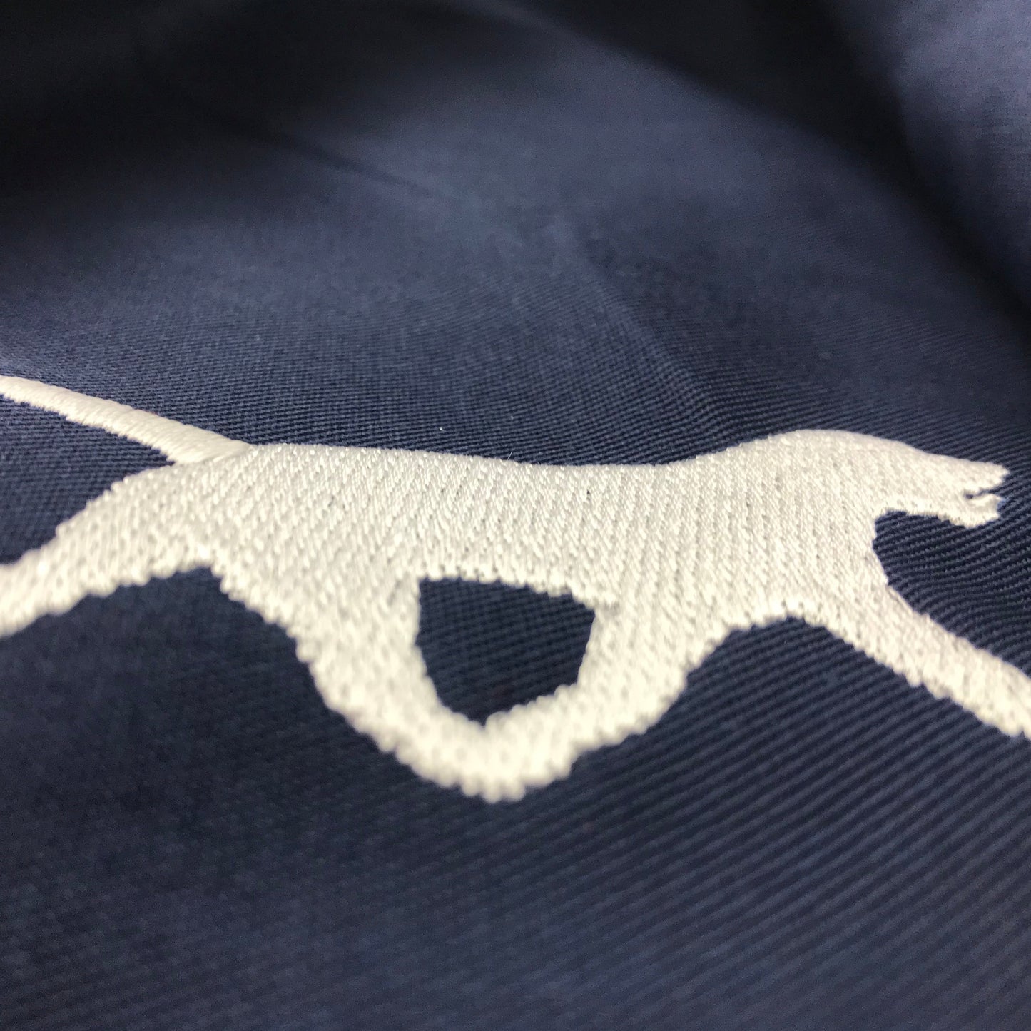 Labrador Retriever Coat for Sale